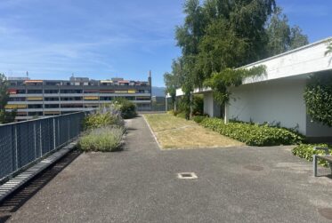 Appartement rénové - Avenue de Budé
