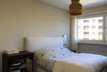 En exclusivité - Magnifique appartement à Champel