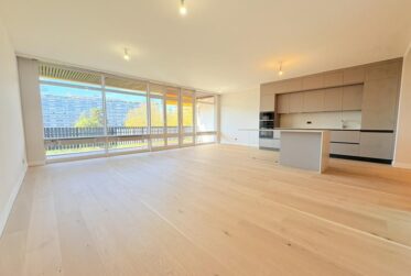 Appartement 5 pièce entièrement rénové - Avenue de Budé