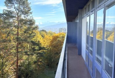 Appartement 5 pièce entièrement rénové - Avenue de Budé