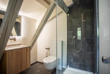 Superbe attique de charme avec vue panoramique sur le lac et le Mont-Blanc