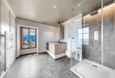 Superbe attique de charme avec vue panoramique sur le lac et le Mont-Blanc