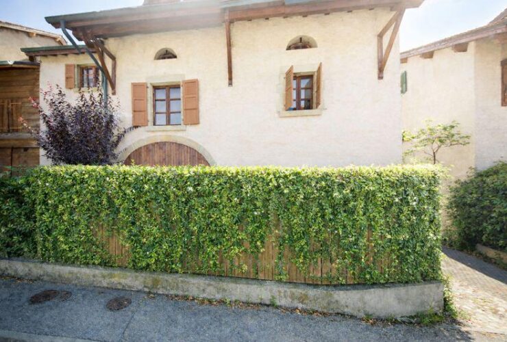 Appartement de 4,5 pièces entièrement rénové à Collonge-Bellerive