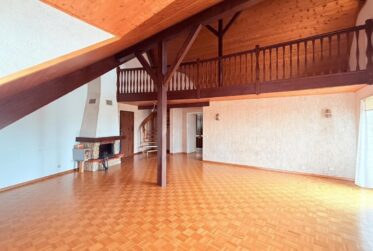 Très joli duplex en attique
