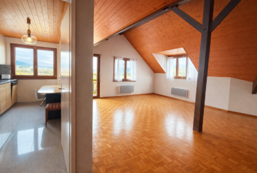 Très joli duplex en attique