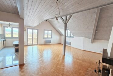 Très joli duplex en attique