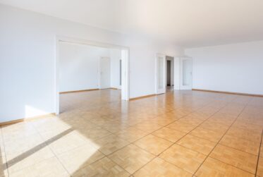 Matutina Parc - Appartement de 5 pièces traversant au Petit-Saconnex