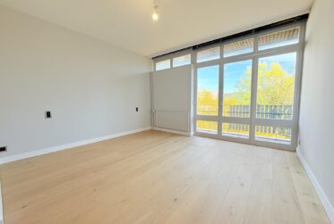 Appartement 5 pièces entièrement rénové - Avenue de Budé